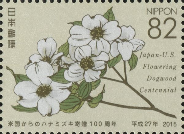 White Flowering Dogwood