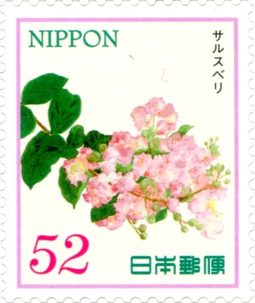 Crepe Myrtle (Lagerstroemia indica)