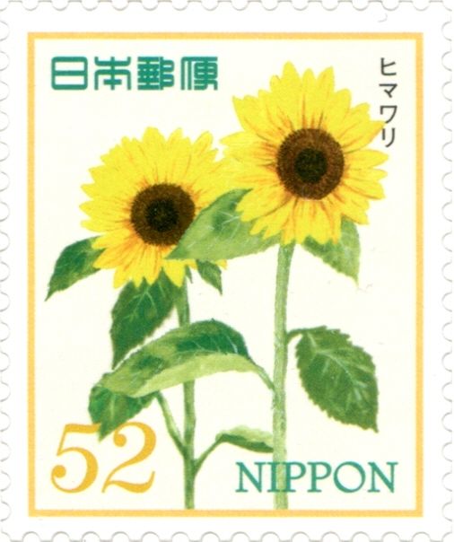 Sunflowers (Helianthus annuus)