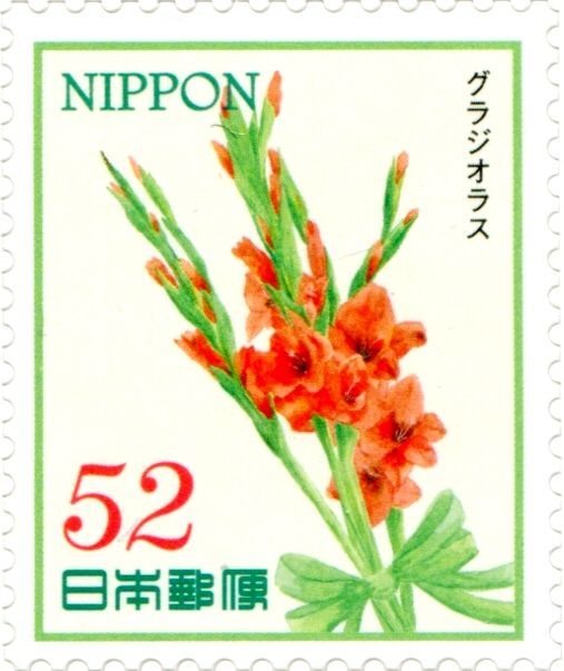 Gladiolus