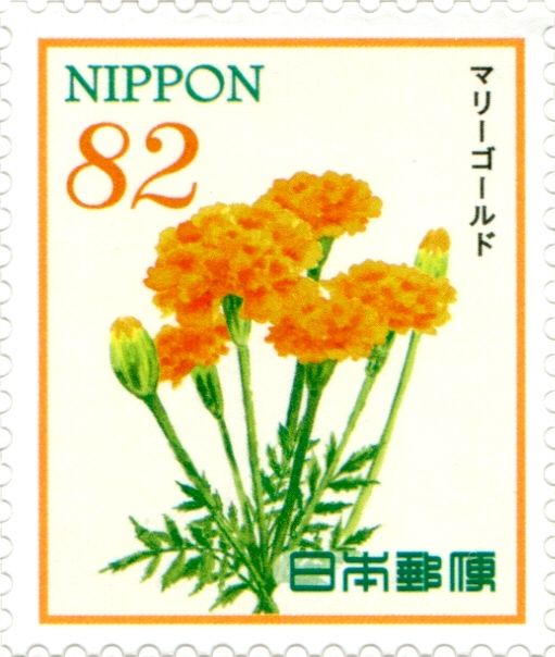 Marigolds (Tagetes sp.)