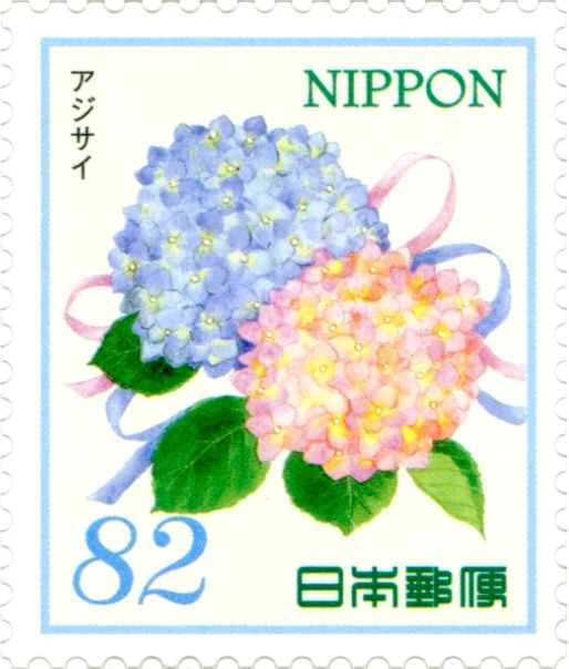 Hydrangea (Hydrangea macrophylla)