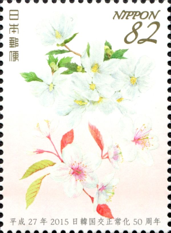 Rose of Sharon and Cherry Blossoms