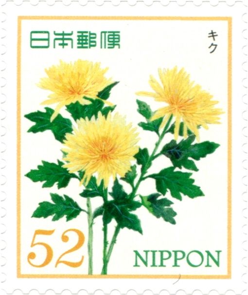 Chrysanthemum