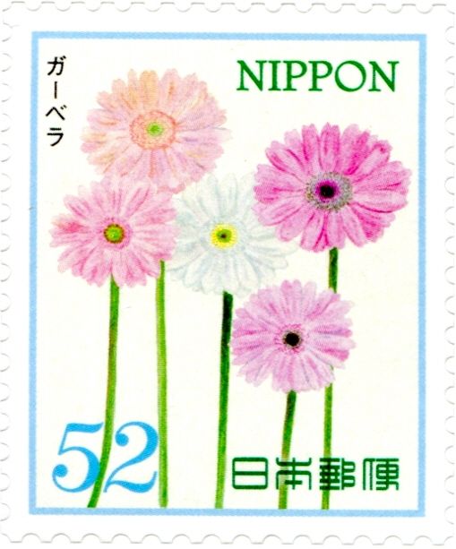 Gerbera