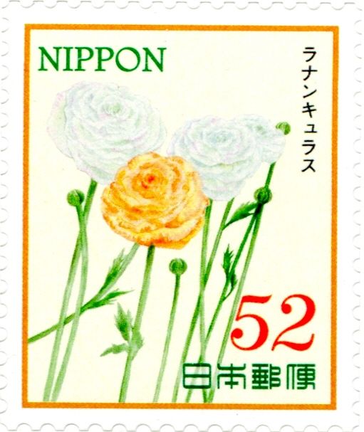 Ranunculus