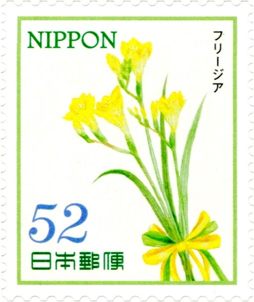 Freesia