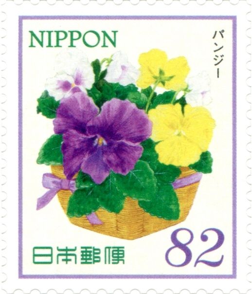 Pansy