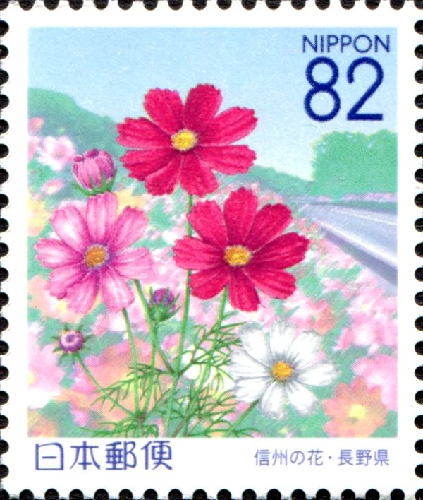 Cosmos