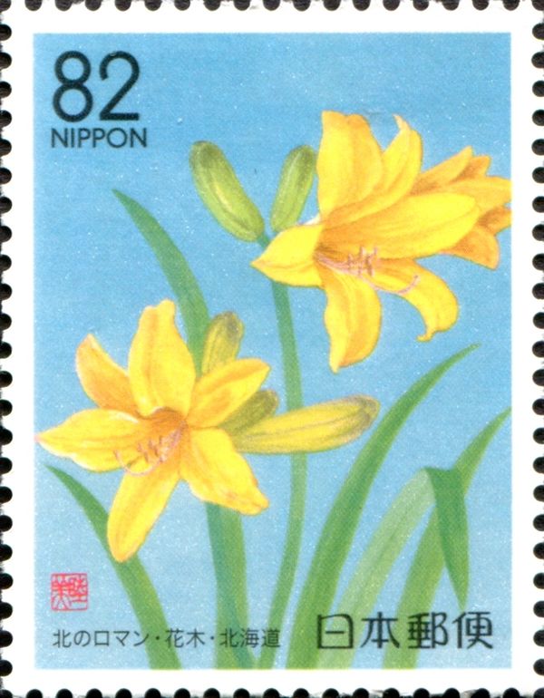 Daylily