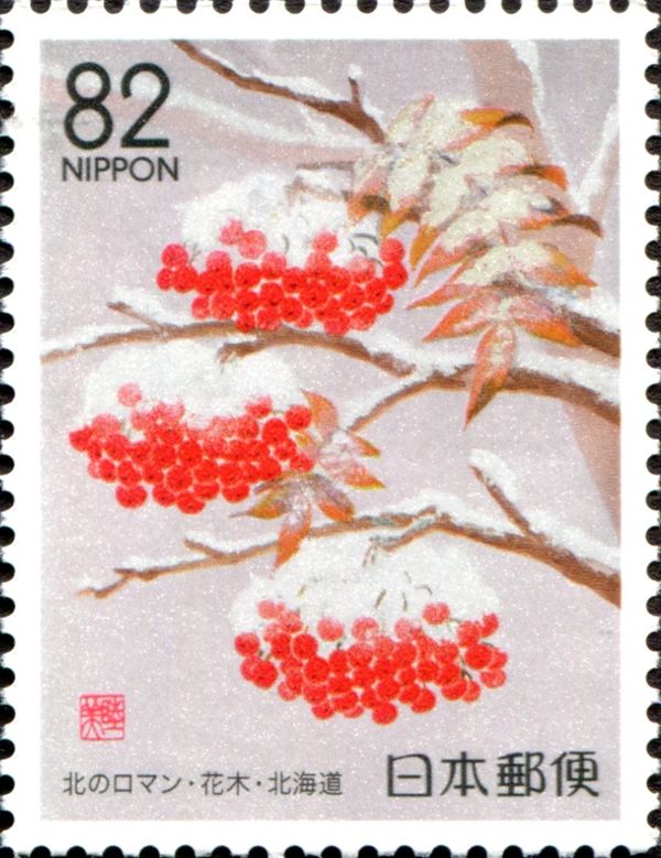 Rowan Tree Berries in Snow