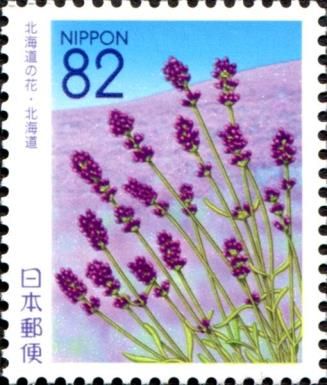 Lavender
