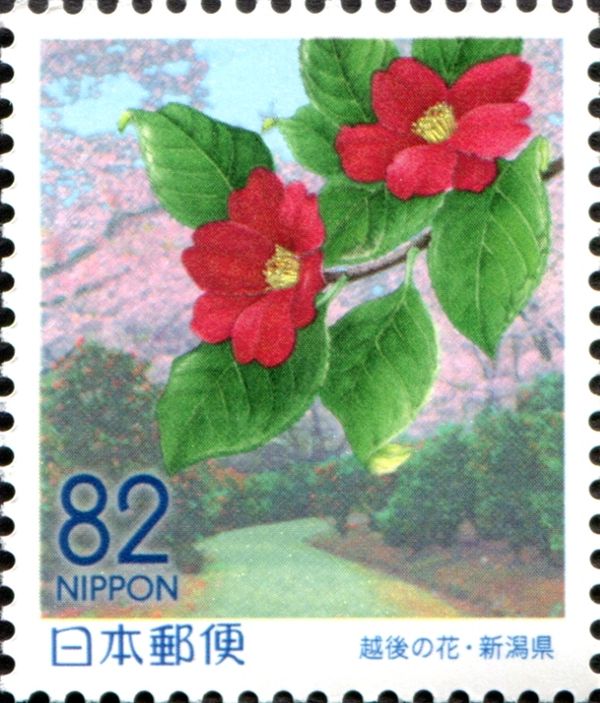 Camellia and Kamoyama Kouen Park