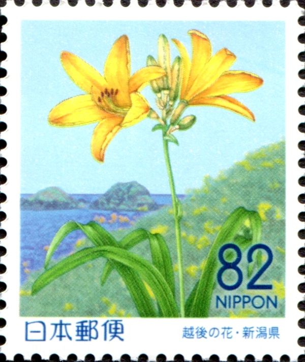 Daylily and Oonogame