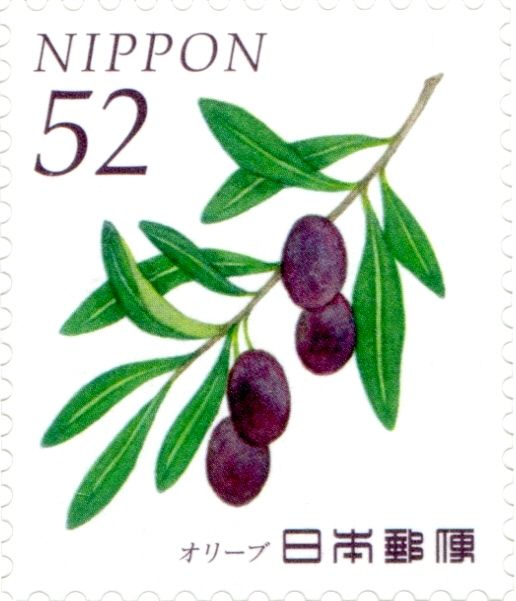 Olive (Olea europaea)