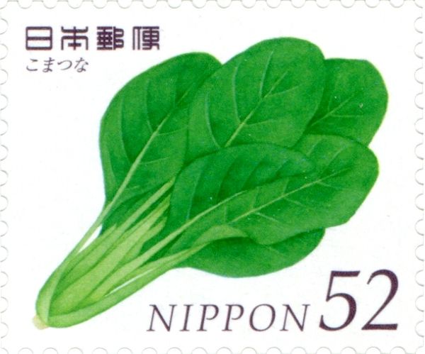 Mustard Spinach (Brassica rapa var. perviridis)