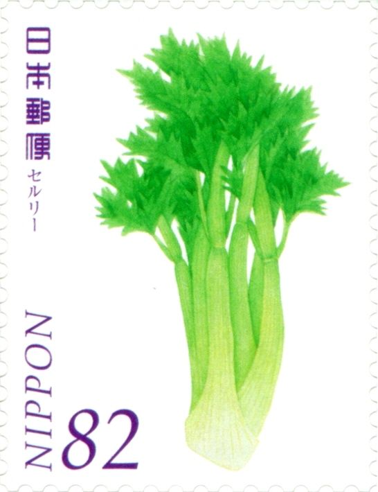 Celery (Apium graveolens)