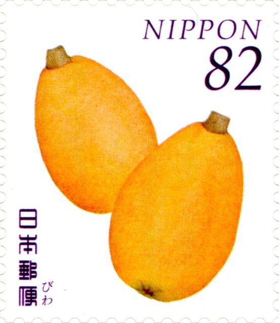 Loquat (Eriobotrya japonica)