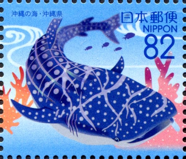 Whale Shark (Rhincodon typus)