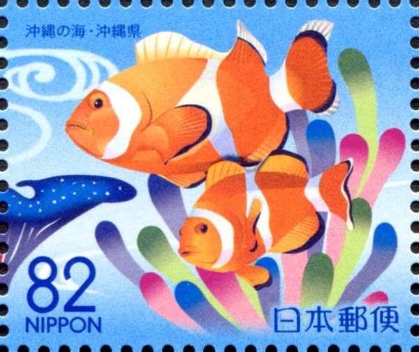 Ocellaris Clownfish (Amphiprion ocellaris)