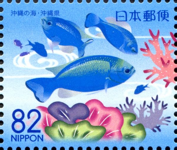 Sapphire Damsel (Pomacentrus pavo)
