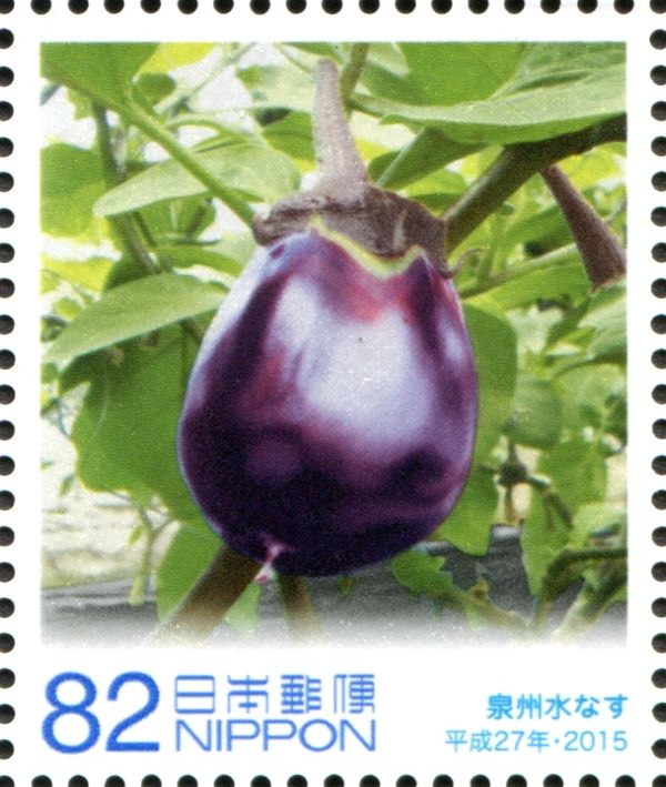 Senshu Eggplant