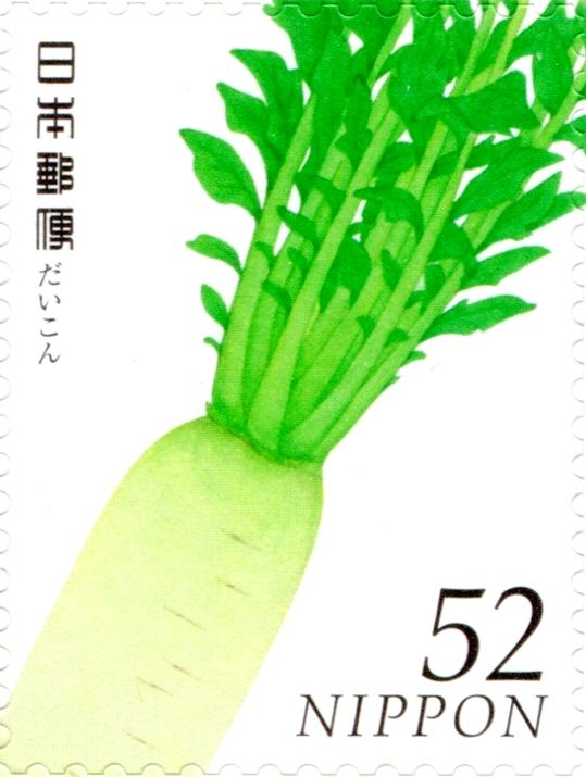 Daikon Radish