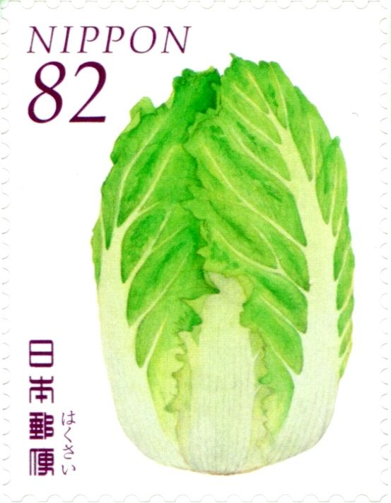 Chinese Cabbage