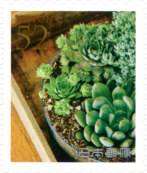 Group Planting