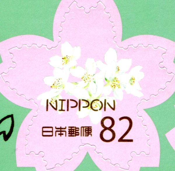 Cherry Blossoms
