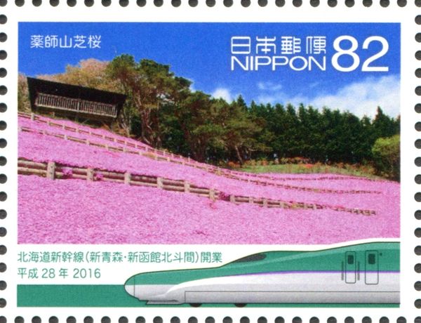 Moss Phlox on Mt. Yakushi, Hokkaido Shinkansen Train