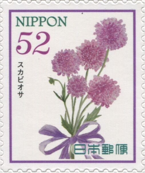Scabiosa (Scabiosa caucasica)