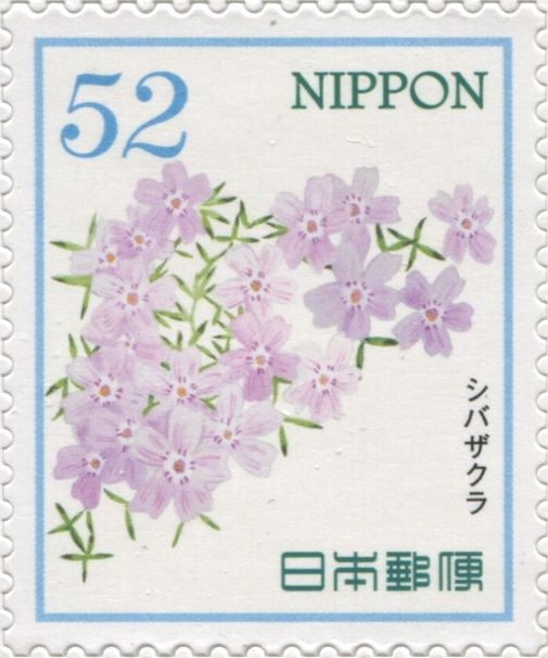 Moss Phlox (Phlox subulata)
