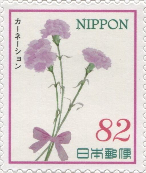 Carnations