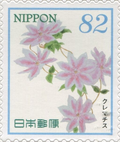 Clematis