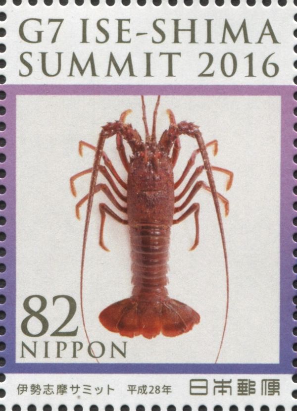 Japanese Spiny Lobster (Panulirus japonicus)