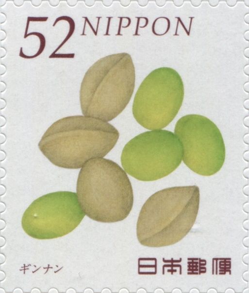 Ginkgo Nuts