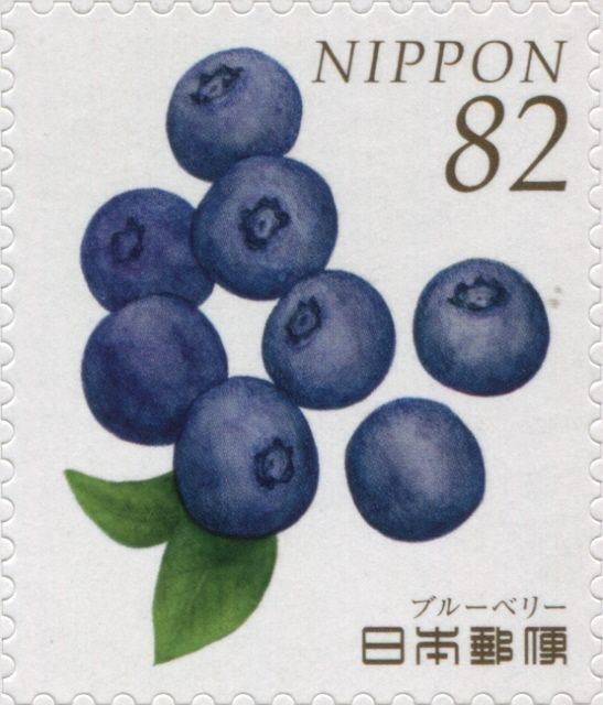 Blueberries
