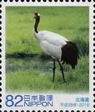 Hokkaido - Red-crowned Crane (Grus japonensis)