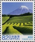 Shizuoka - Tea field and Mt. Fuji