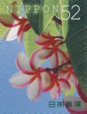 Plumeria