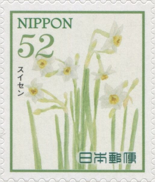 Narcissus
