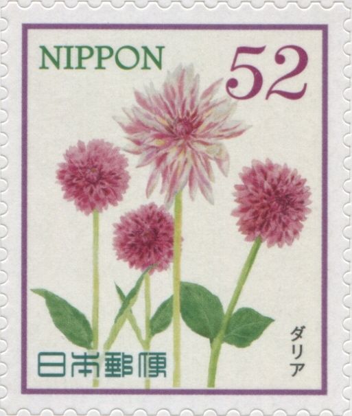 Dahlias