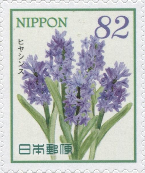Hyacinths