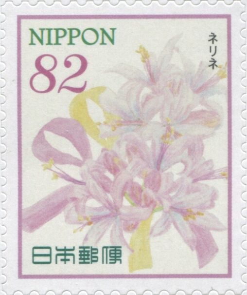 Nerines