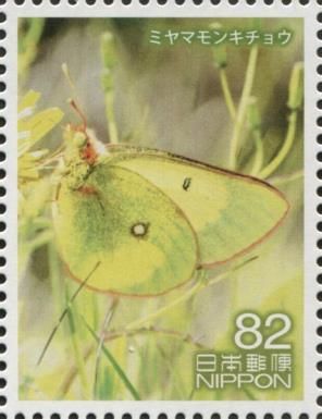 Eastern Gelbling (Colias erate)