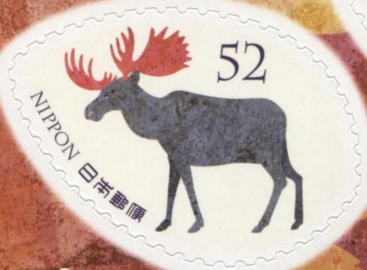 Moose (Alces alces)