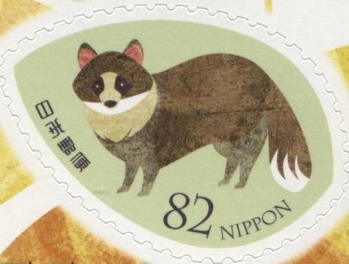Japanese Raccoon Dog (Nyctereutes Procyonoides)