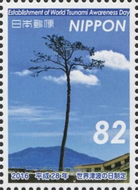 Miracle Pine of Rikuzentakata