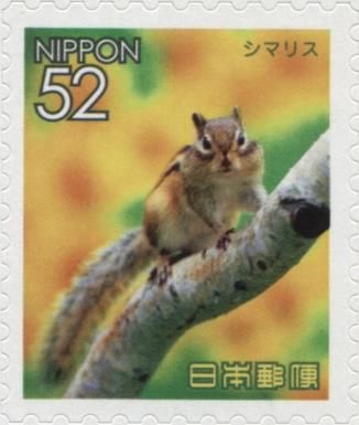 Siberian Chipmunk (Eutamias sibiricus)